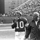 Image for article titled Fran Tarkenton Spent A Season On Now-Banned Horse Painkillers